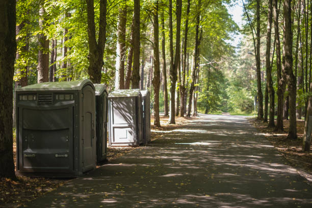 How Our Tree Care Process Works  in  Conroe, TX